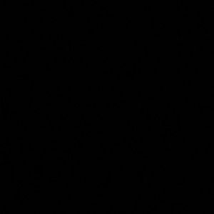 Meet your Posher, Lisbe